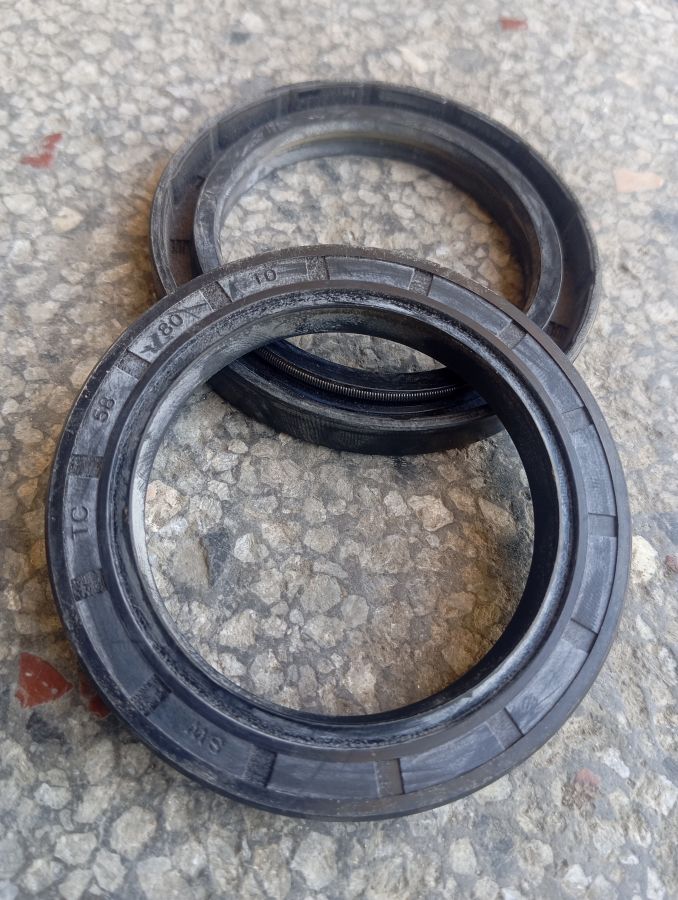Oil Seal Img 1